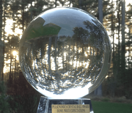 A crystal ball reflecting the trees in front of a forest.