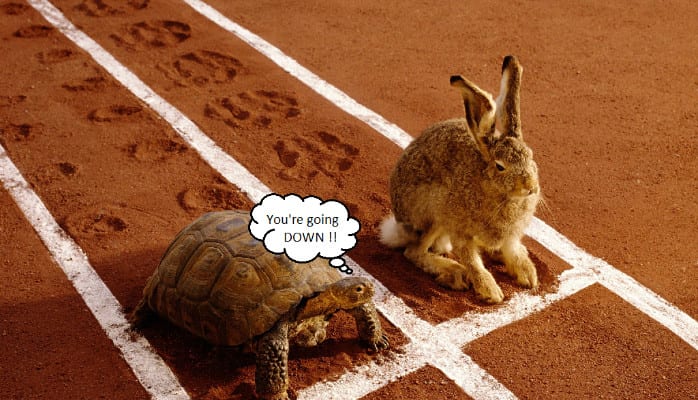 A turtle and rabbit are on the track.